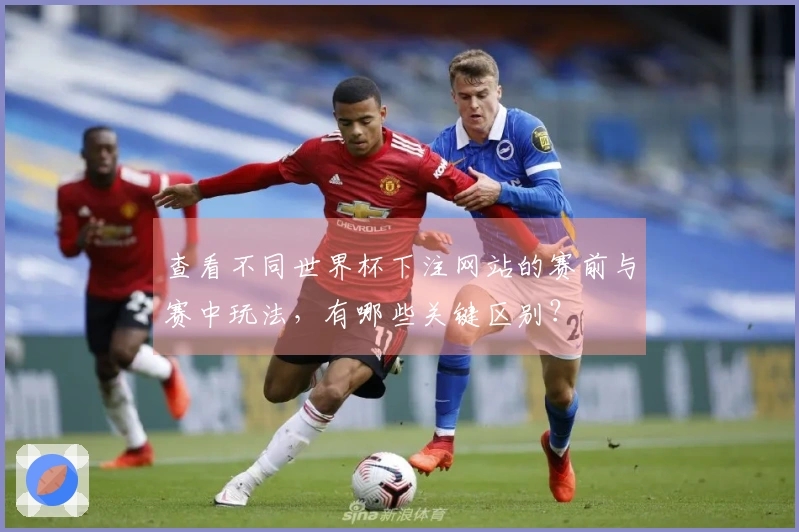 查看不同世界杯下注网站的赛前与赛中玩法，有哪些关键区别？