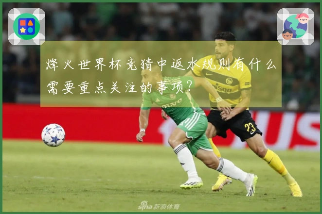烽火世界杯竞猜中返水规则有什么需要重点关注的事项？