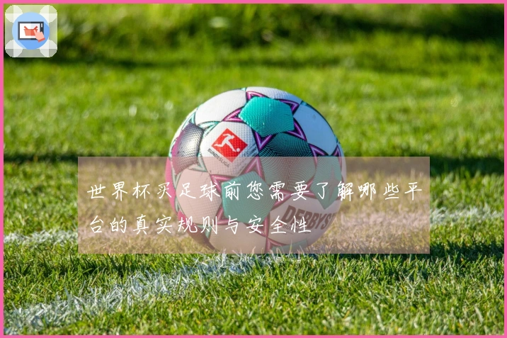 世界杯买足球前您需要了解哪些平台的真实规则与安全性