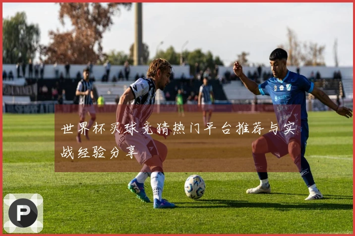 世界杯买球竞猜热门平台推荐与实战经验分享