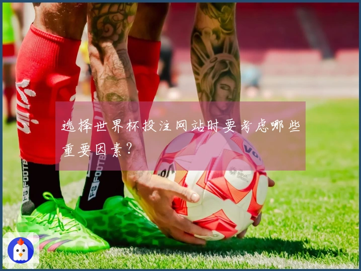 选择世界杯投注网站时要考虑哪些重要因素？