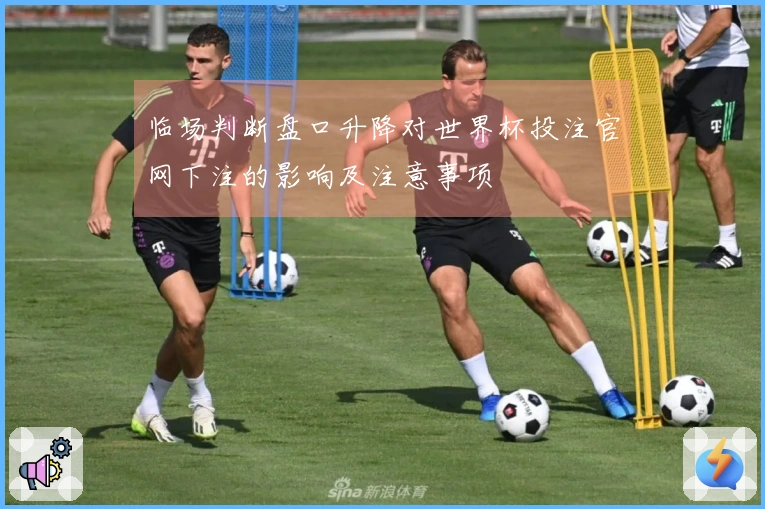 临场判断盘口升降对世界杯投注官网下注的影响及注意事项